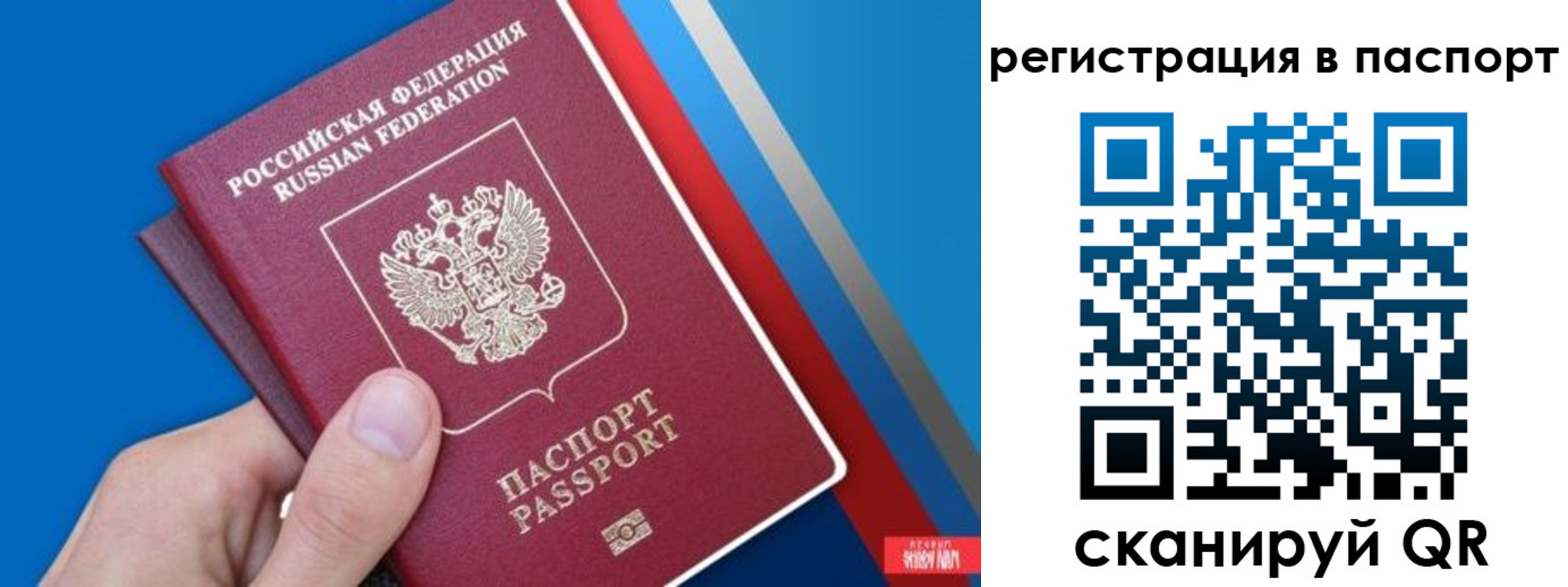прописка для школы в Шатуре
